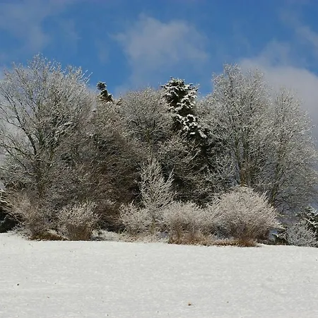 Chez Christian Διαμέρισμα Breitenbach-Haut-Rhin