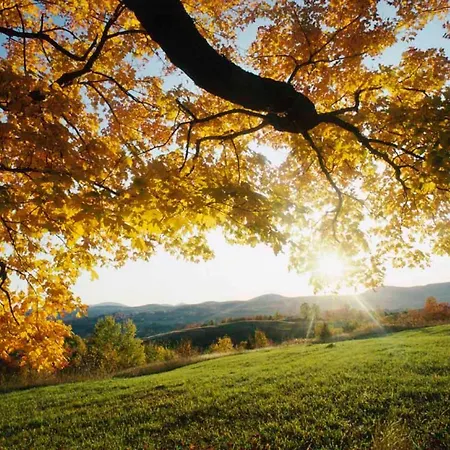 Chez Christian Διαμέρισμα Breitenbach-Haut-Rhin