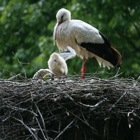 Chez Christian Διαμέρισμα