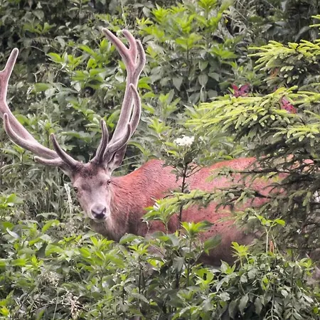 Διαμέρισμα Chez Christian *